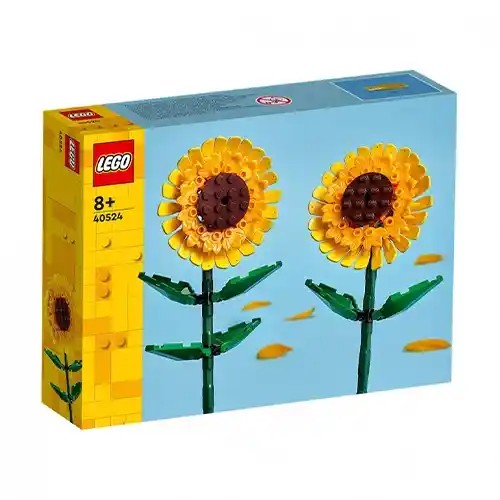 /Content/Products/LEGO-6380174.webp
