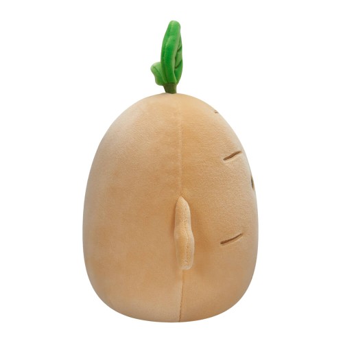 /Content/Products/SQCR02377.Webp